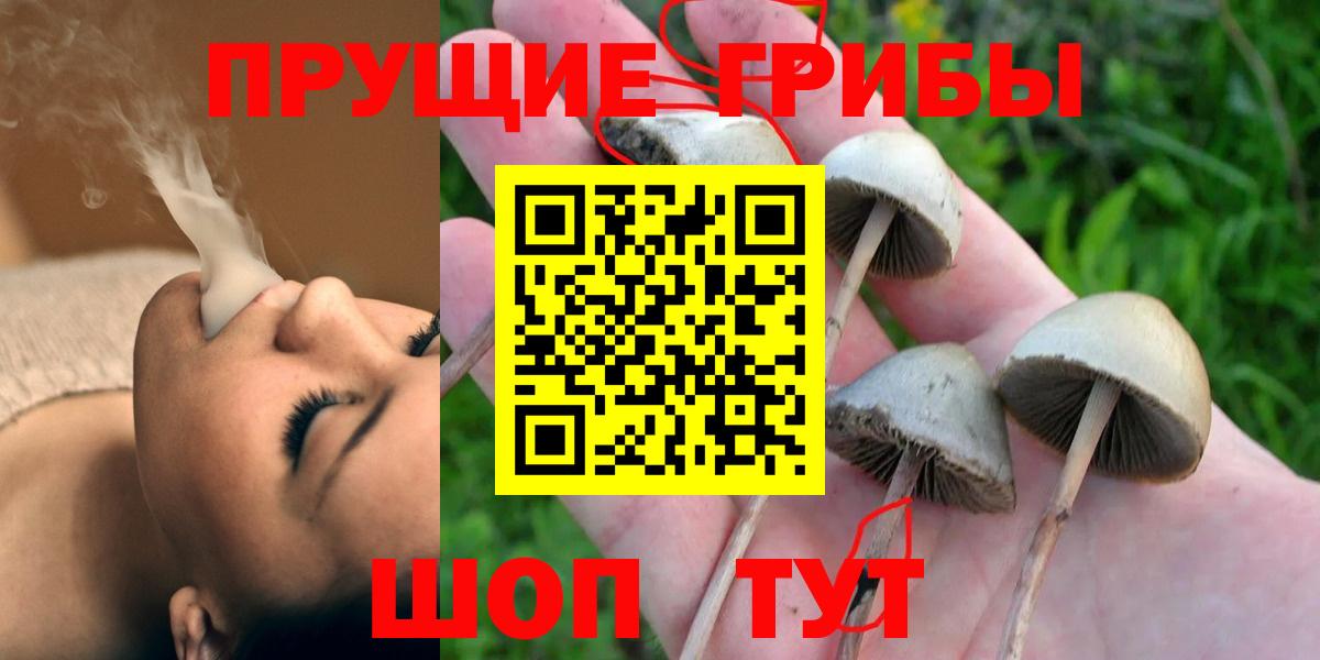 Галлюциногенные грибы прущие грибы Армавир