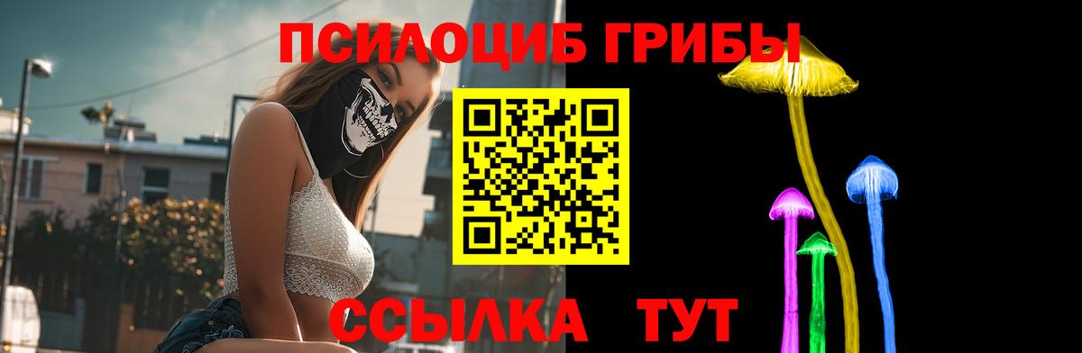 Галлюциногенные грибы Psilocybe  сколько стоит  Армавир  Вход с VPN 
